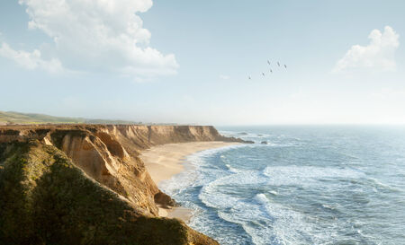 Panorama shot of great shore, ocean and birds in the distanceの写真素材