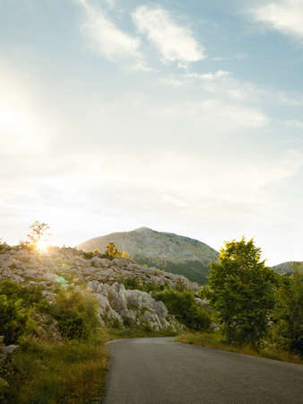 panoramic  view of nice summer empty road  through the mountainの写真素材