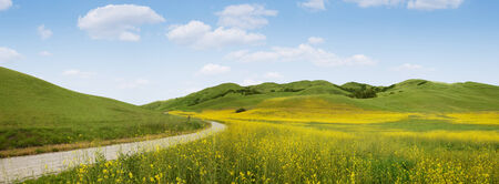panoramic view of nice green hill on blue sky background