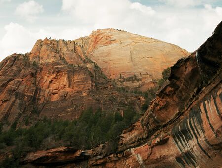 view of nice giant rock in Zion  national parkの写真素材