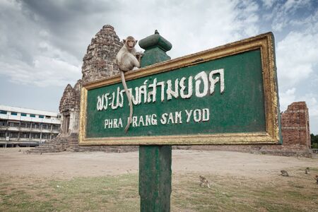 monkey old temple phra prang sam yod wat  in Lopburi, Thailandの写真素材