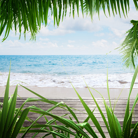 View of nice tropical beach with some palmsの写真素材