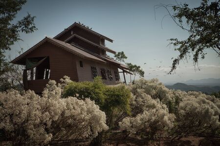 view of old abandoned house and some bushes aroundの写真素材