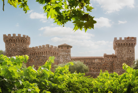 panoramic view of nice old kings castle in summer environmentの写真素材