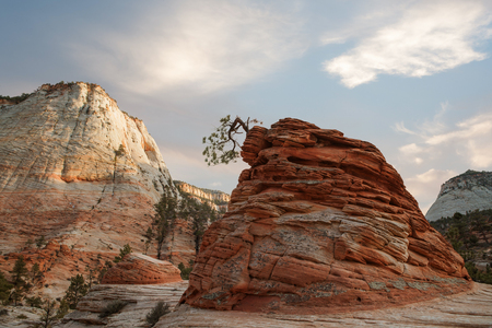 view of nice giant rock in Zion  national parkの写真素材