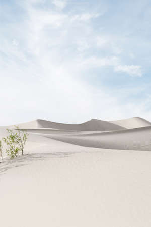 View of nice sands dunes at Sands Dunes National Parkの写真素材