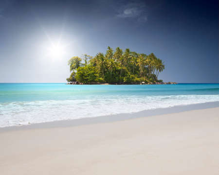 View of nice tropical beach with some palmsの写真素材