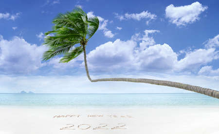 View of nice Christmas and  new year theme  tropical beachの写真素材