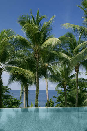 View of nice infinity pool with clear blue water and tropic beach on backの写真素材