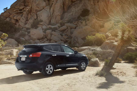 view of black car in Joshua tree national parkの写真素材