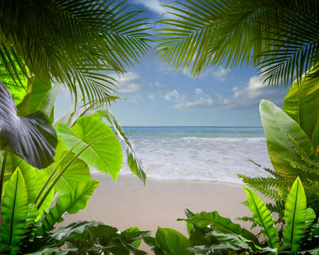 View of nice tropical beach with some palmsの写真素材