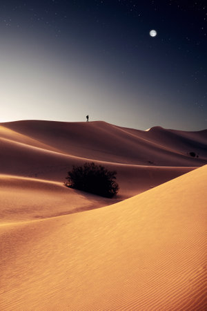 view of nice sands dunes at Sands Dunes National Parkの写真素材