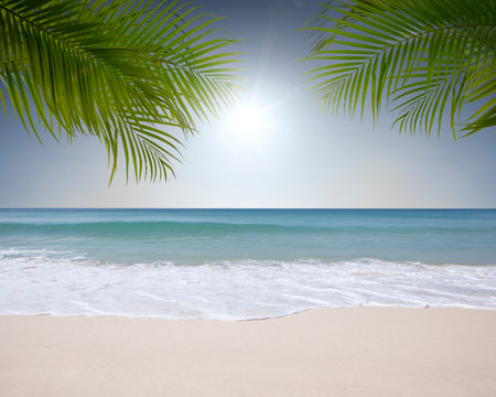 View of nice tropical beach with some palmsの写真素材