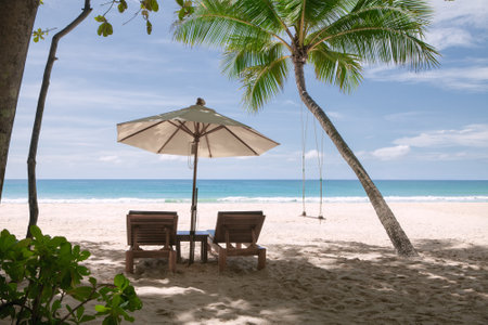 View of nice tropical beach with some palmsの写真素材