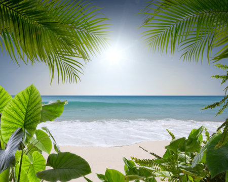 View of nice tropical beach with some palmsの写真素材