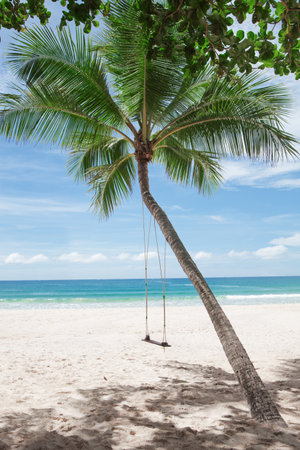 View of nice tropical beach with some palmsの写真素材