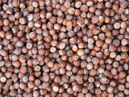 Hazelnuts. Food background, photo wallpaper.