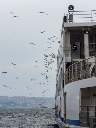 A lot of Seagulls flying near the ferry in izmir, Turkeyのeditorial素材