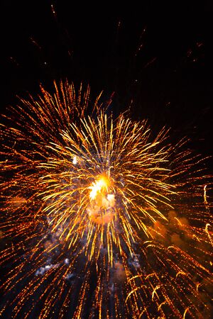 Colorful fireworks on the black sky background. Celebration.の写真素材