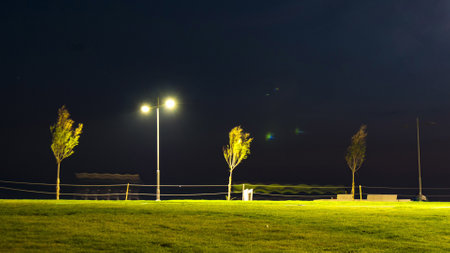 Karsiyaka, izmir, Turkey - 2017: people walking on a seaside at night. Lit by bright lamp posts. Long exposure. Motion blur.のeditorial素材