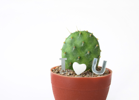 Cactus in plastic pot with I heart you letter isolated on white backgroundの写真素材