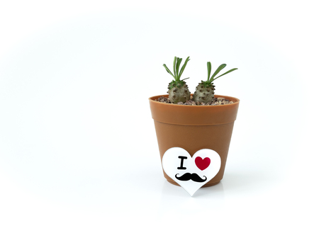 A couple plant with heart symbol isolated on white backgroundの写真素材