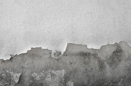 White cement textureの写真素材