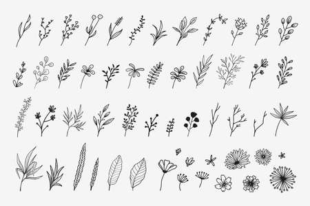 Creative vector floral and flowet collectionのイラスト素材