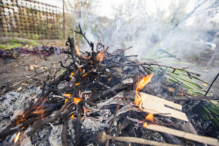 the bright campfire on nature in summer