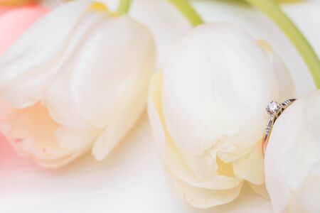tulip and gold engagement ring on a white backgroundの写真素材