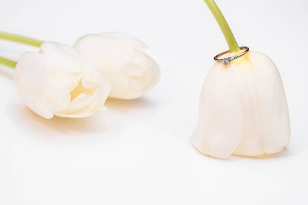 tulip and gold engagement ring on a white backgroundの写真素材