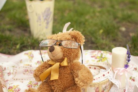 Clever bear. Teddy Bear with Glasses on natureの写真素材
