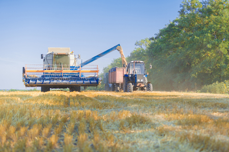Combine harvester working on sunny summer day.の写真素材