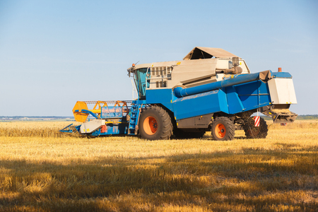 Combine harvester working on sunny summer day.の写真素材
