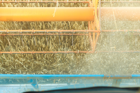 A combine harvesting wheat in a fieldの写真素材