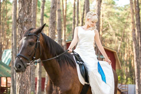 young beautiful bride and horse on the natureの写真素材