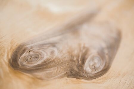 the wood texture. the background old panelsの写真素材