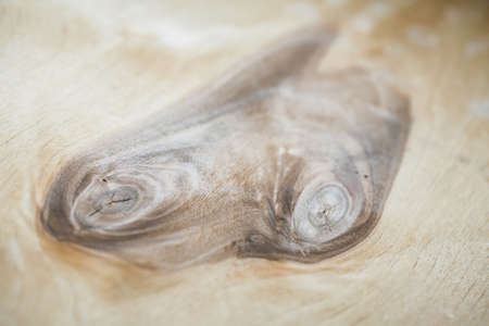 the wood texture. the background old panelsの写真素材