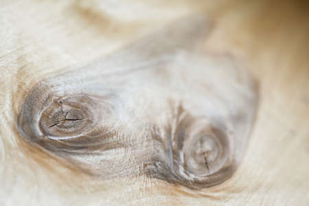 the wood texture. the background old panelsの写真素材