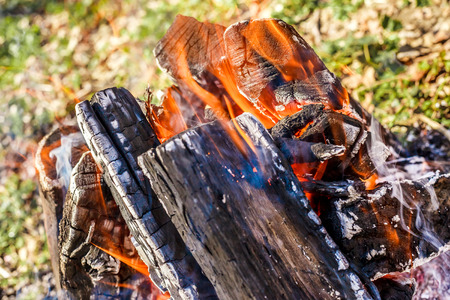the bright campfire on nature in summerの写真素材