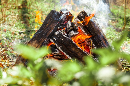 the bright campfire on nature in summerの写真素材