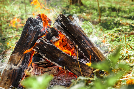 the bright campfire on nature in summerの写真素材