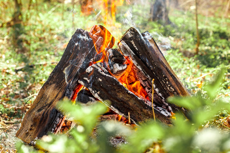 the bright campfire on nature in summerの写真素材