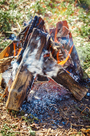 the bright campfire on nature in summerの写真素材