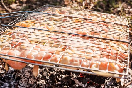 Shish kebab: slices of meat with sauce preparing on fire. grilled bbq chickenの写真素材