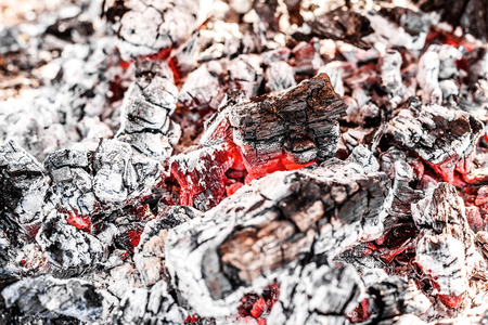the bright campfire on nature in summerの写真素材