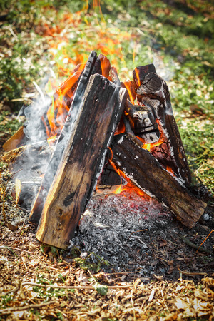 the bright campfire on nature in summerの写真素材