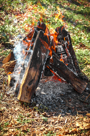 the bright campfire on nature in summerの写真素材