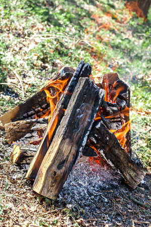 the bright campfire on nature in summerの写真素材