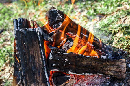 the bright campfire on nature in summerの写真素材